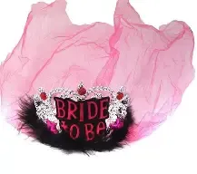 BRIDE TO BE TIARA WITH VEIL BLACK