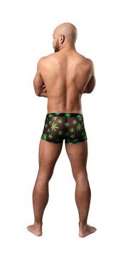 HAZY DAYS POUCH SHORT POT LEAFE LRG