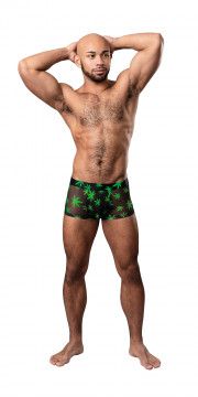 HAZY DAYS POUCH SHORT POT LEAFE LRG