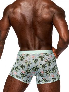 SHEER PRINTS SHORT FLAMINGO MED