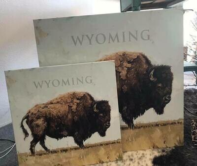 Home decor/wall art/Large Buffalo Photo/Wyoming/20x20