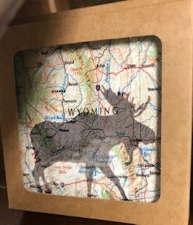 Coaster Set of 4