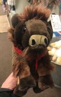 Wyoming souvenir/Stuffie/buffalo/ His name is Booker/