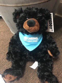 Wyoming Souvenir/Black Bear Stuffie w/Wyoming bandana
