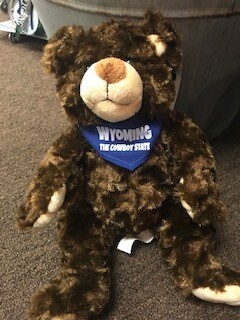 Wyoming Souvenir/Brown Bear stuffier with Wyoming bandana