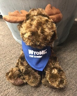 Wyoming souvenir/Stuffie/Moose/Wyoming bandana