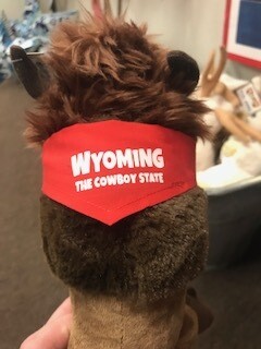 Wyoming souvenir/Stuffie/buffalo/ His name is Booker/