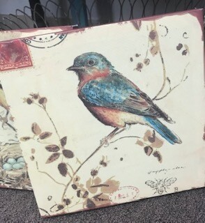 Home decor/wall art/bird canvas 10x10