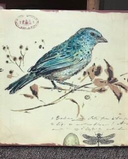 Home decor/wall decor/canvas bird 10x10