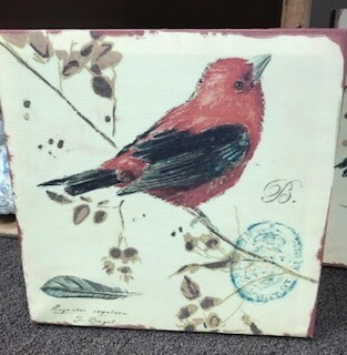 Home decor/wall art/bird canvas all 10x10