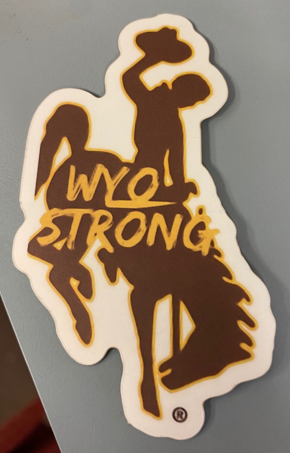sticker/decal