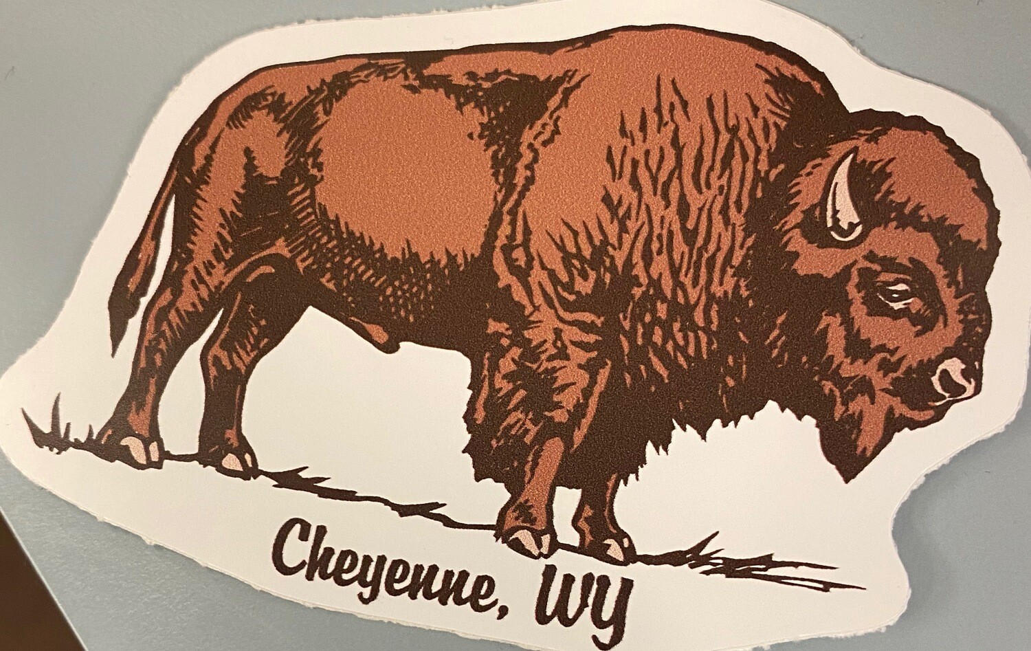 sticker/decal