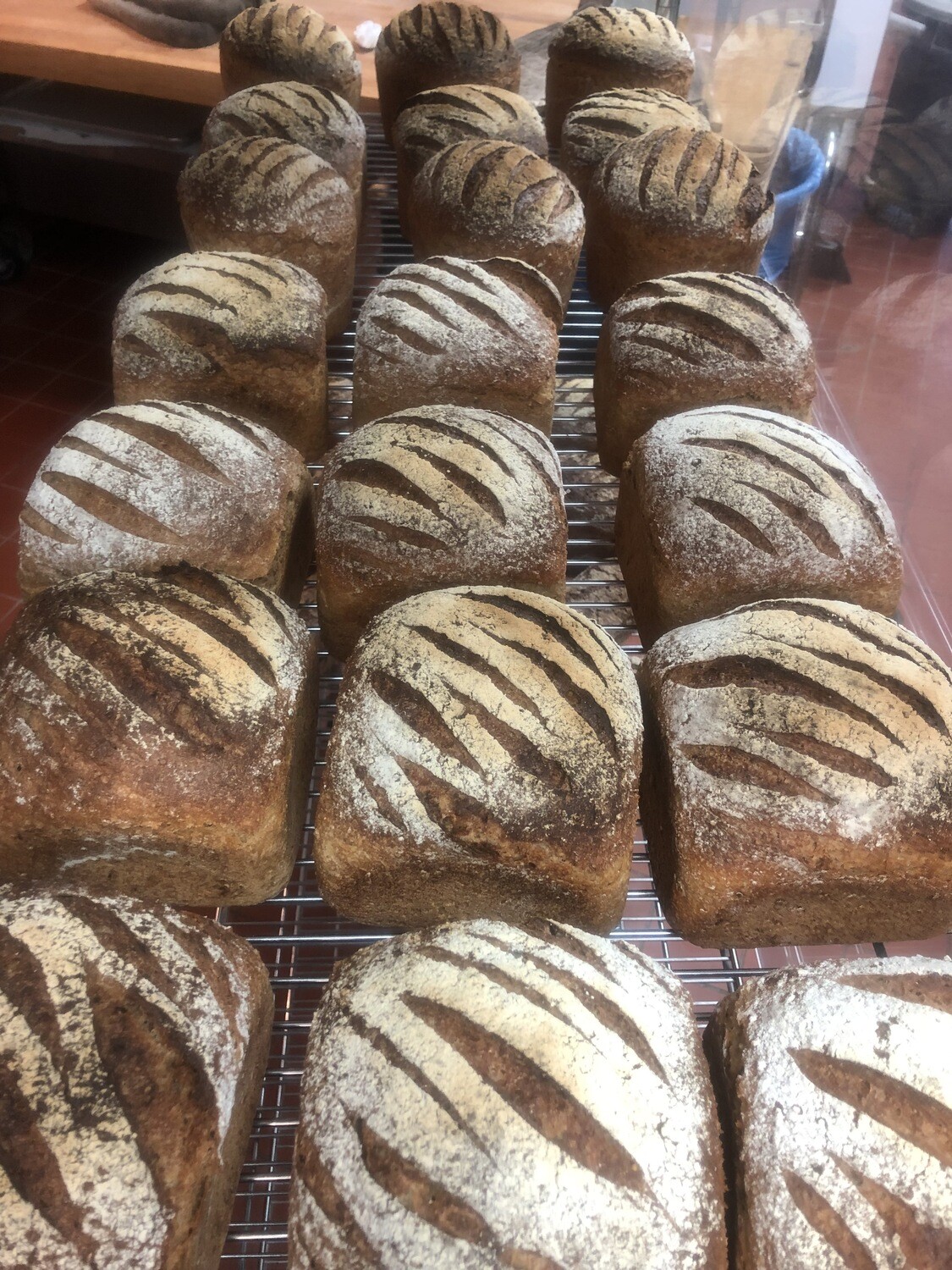 Rye/Wheat Pan Bread with Sunflower Seeds