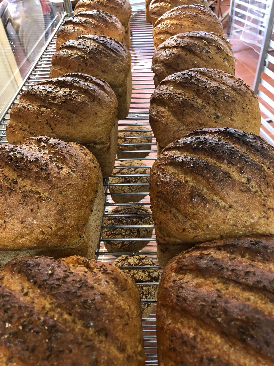 10 Grain Pan Bread (give your gut a gift)
