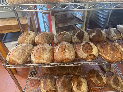 Levain, Candied Aleppo and Italian Hots from Sunblaze Farms Cheddar Cheese