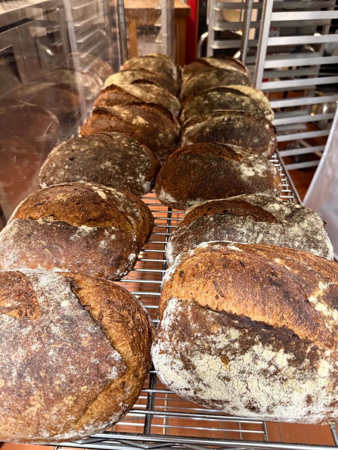 Lemon Rosemary Bread With Malden Salt. Lemon Rosemary Bread With Malden Salt.