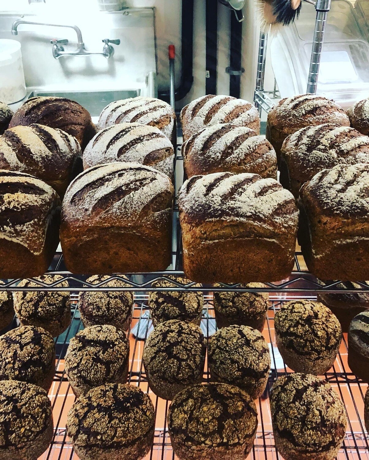 11 Grain and Seed Bread  Turning it up to 11 (Reiner Bread)