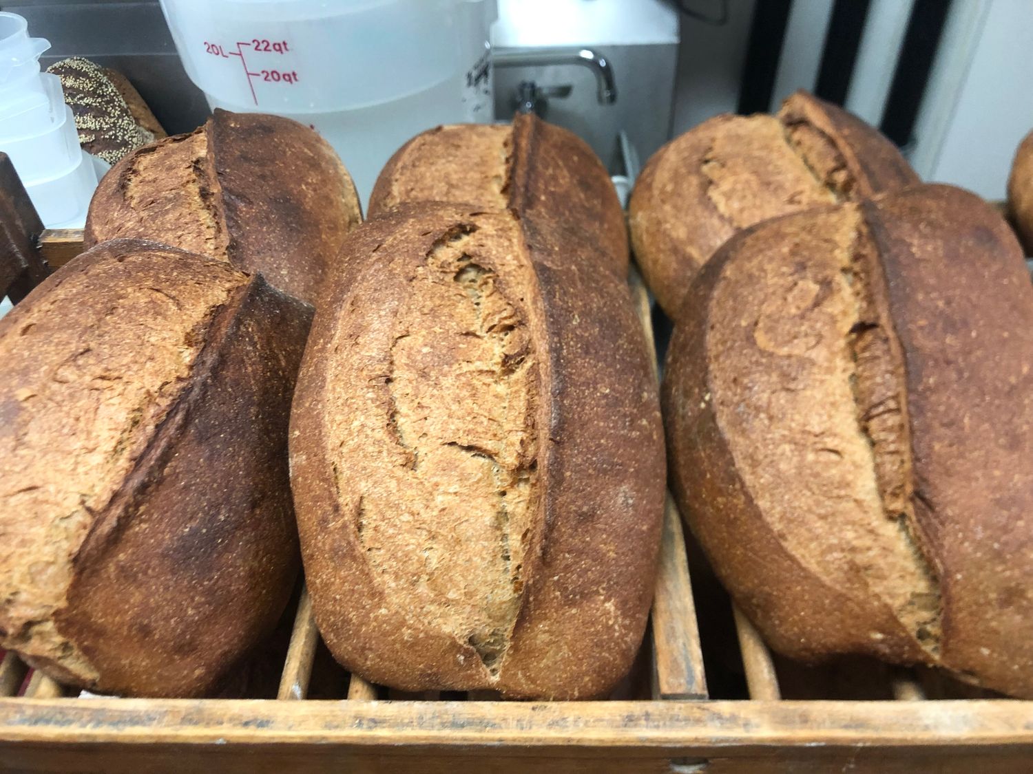 Levain