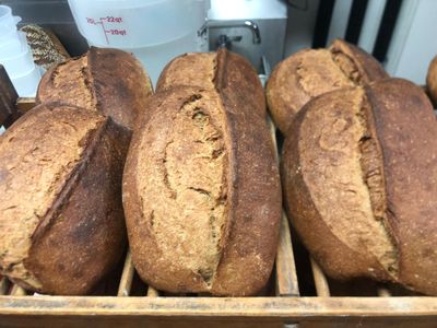 Levain Levain