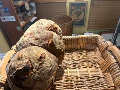 Pugliese  Potato  Round