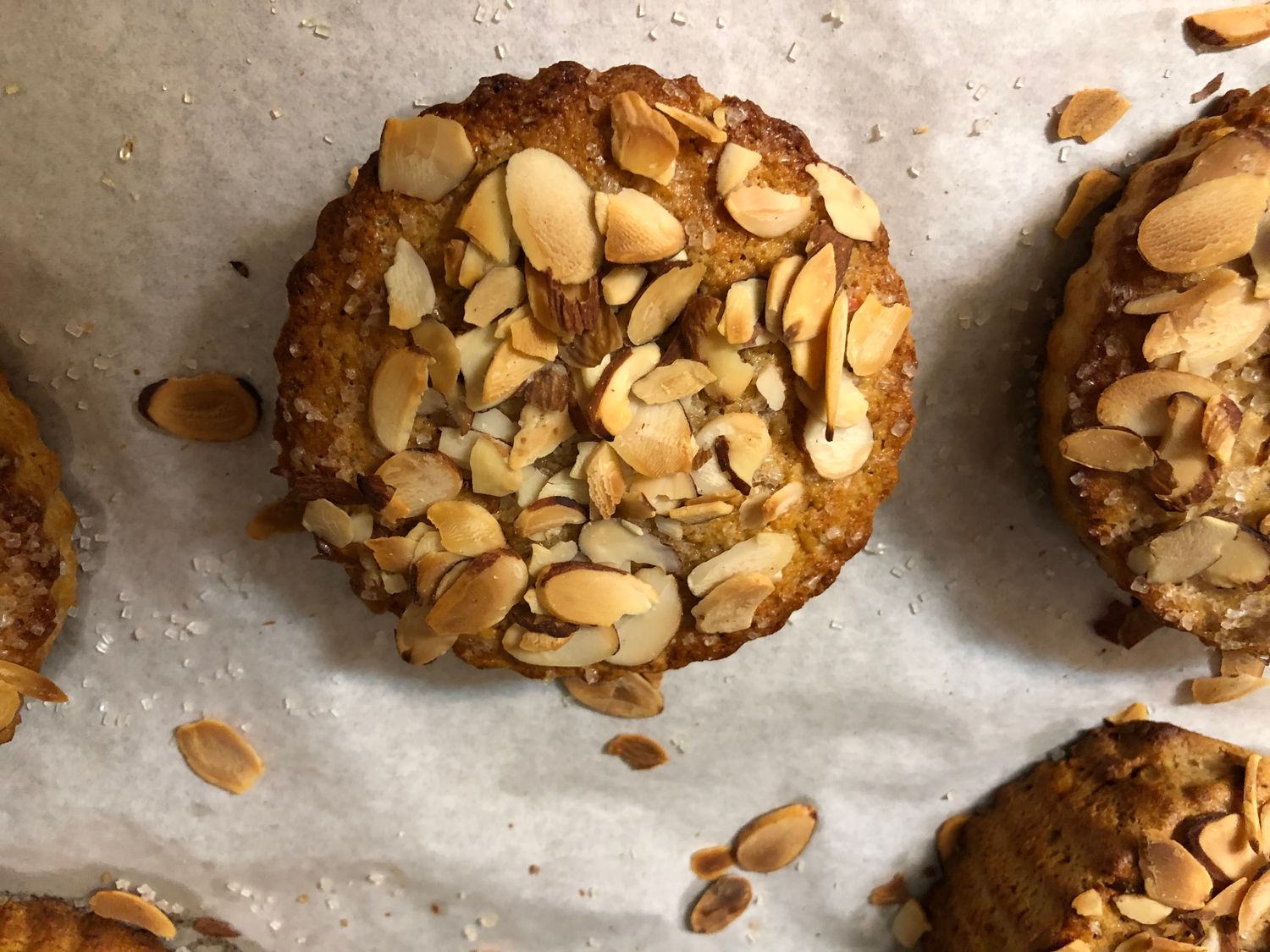 Ginger Biscut with sliced almond Ginger Biscut with sliced almond