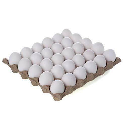 Eggs (tray)
