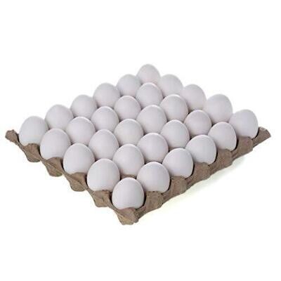 Eggs (tray)