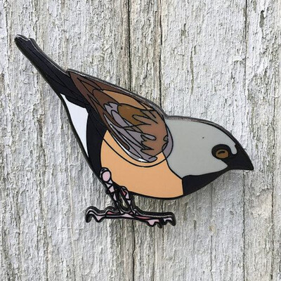 Lapel Pin - Black Throated Finch - Bridget Farmer