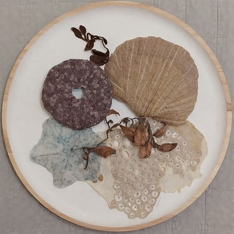 Ocean Treasures | Jacqueline Craigs