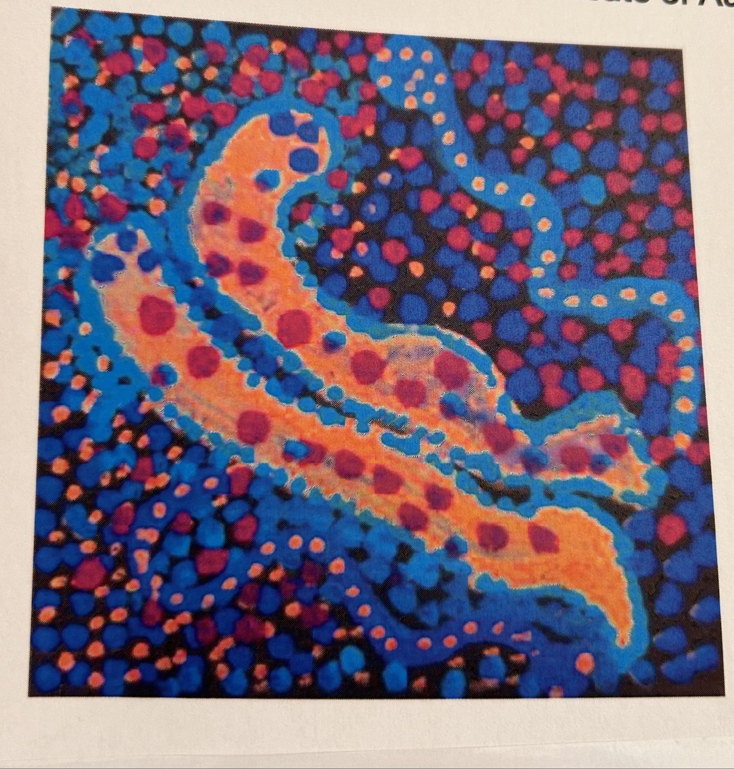 Elaine Lane - Elaine Papulankutja Elaine Lane - Elaine Papulankutja