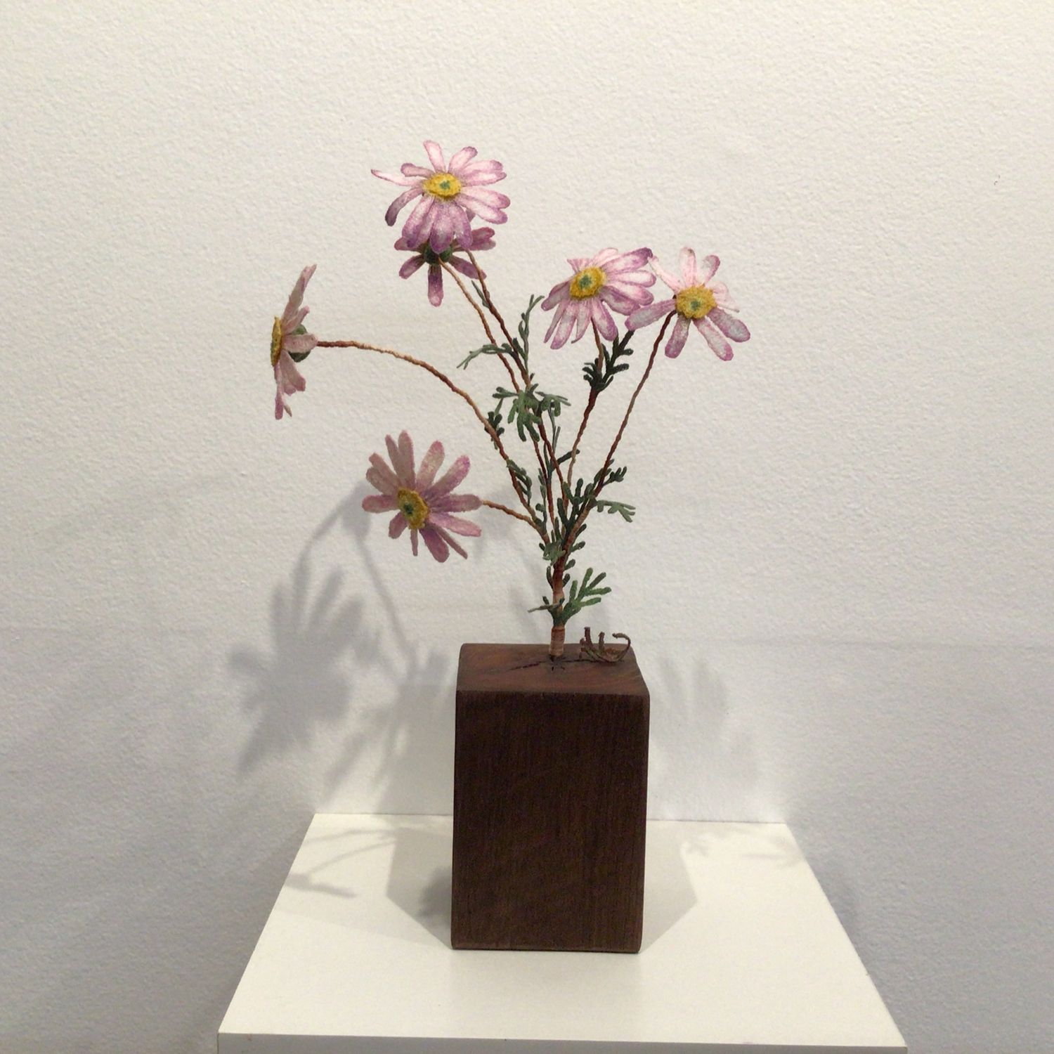 Jacqueline Craigs Daisy