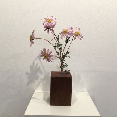 Jacqueline Craigs Daisy