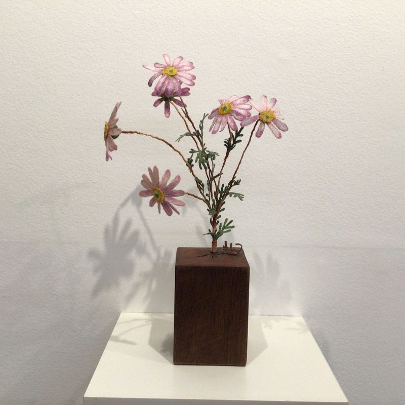 Jacqueline Craigs Daisy