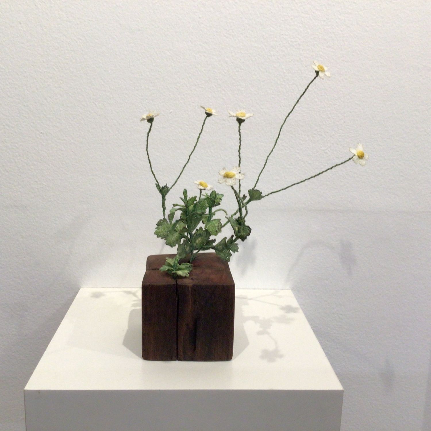 Jacqueline Craigs Survivor Jacqueline Craigs Survivor