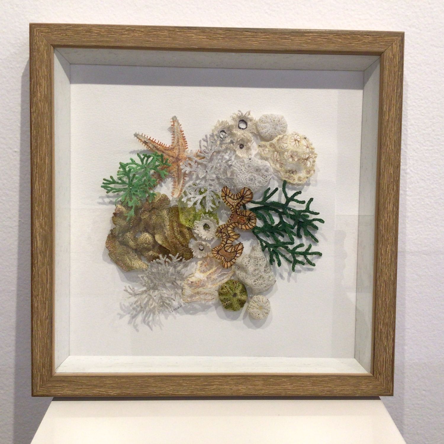 Jacqueline Craigs Treasures From Dampier