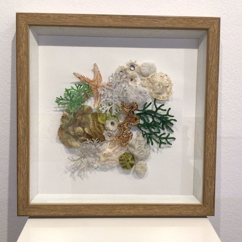 Jacqueline Craigs Treasures From Dampier