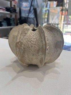 Medium Ribbed Vessel