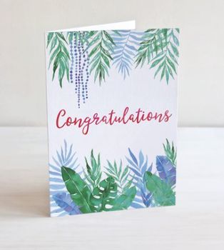 Congratulations- Paper Reign
