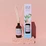 Nectarine & Mint Reed Diffuser