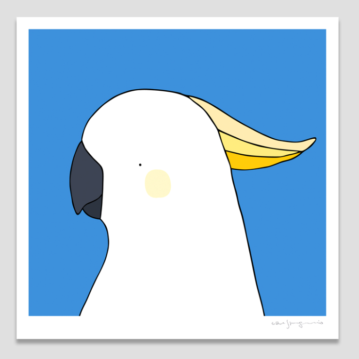 Print - Sulphur Crested Cockatoo