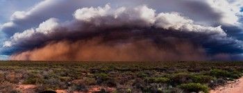 Francis Jadzinski / Dust Storm - Photography print on acrylic