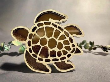 Allow Me Turtle Sand Shaker