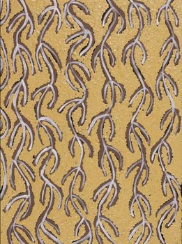 Susie Nangala Watson / Mina Mina Jukurrpa (Mina Mina Dreaming) 40 x 30