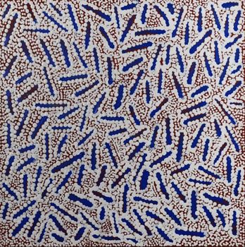 Nathania Nangala Granites /Warlukurlangu Jukurrpa (Fire country Dreaming) 30 x 30
