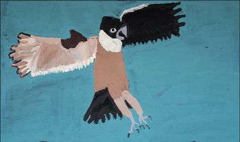 Nyangulya Katie Nalgood /45.5 x 76 cm /Nyangulya Katie Nalgood - Eagle