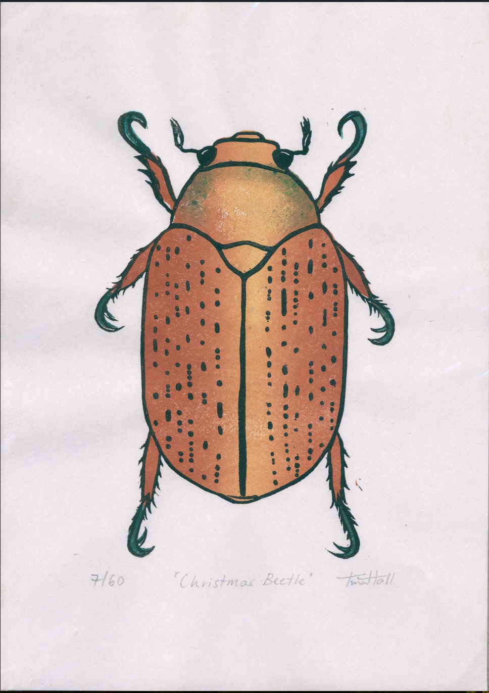 Tina Hall Christmas Beetle
