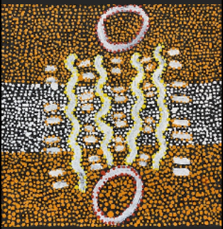 ClancClancy Jangala Watson/Ngapa Jukurrpa (Water Dreaming) - Puyurra/46 x 46