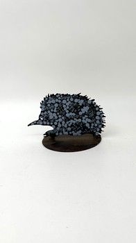 Warlukurlangu Artists Echidna E