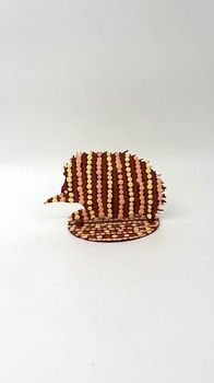 Warlukurlangu Artists Echidna D