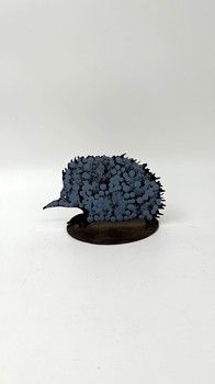 Warlukurlangu Artists Echidna B